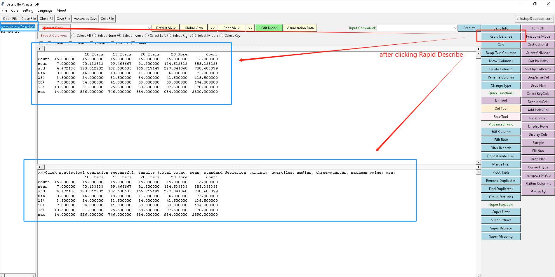 How to Use Rapid Describe for Data Insights in Data.olllo