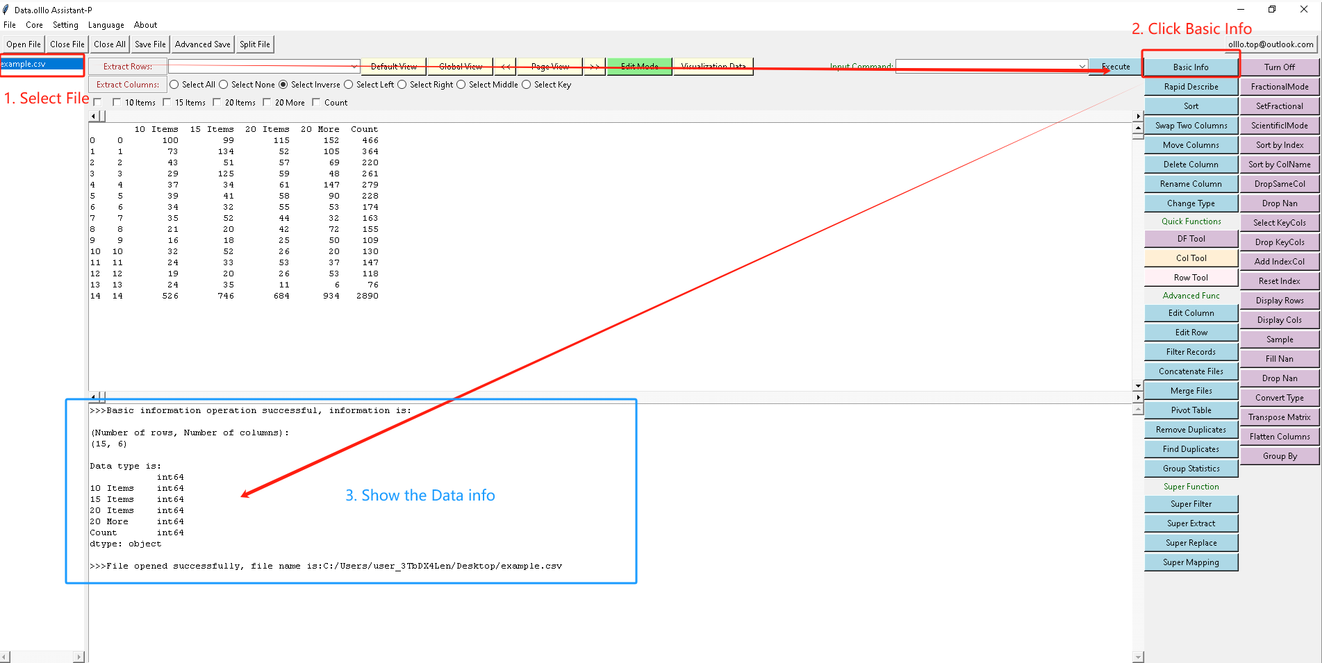 How to Show Basic Information of a Data File in Data.olllo